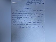 Россиянам объяснили, что отвечать на намек инспектора ДПС «договориться»