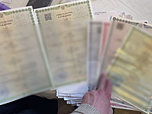 Мошенники зарегистрировали более 600 вымышленных детей в регионах России