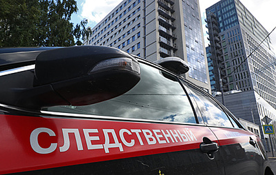 СК возбудил дело на активиста Чебанова о склонении к беспорядкам во время голосования