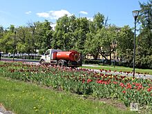 Крупная ветвь рухнула возле детского сада №110 в Нижнем Новгороде
