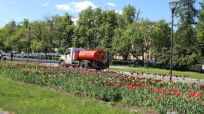 Крупная ветвь рухнула возле детского сада №110 в Нижнем Новгороде