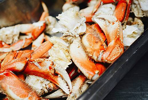 Россия заметно нарастила вывоз одного вида морепродуктов