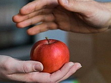 Минфин предлагает отменить НДС на продукты для благотворительности