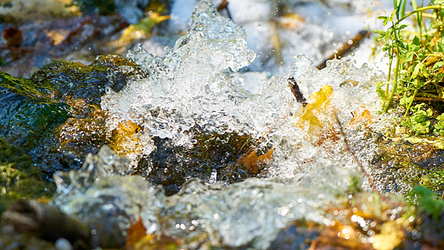 Очищает и лечит: 7 волшебных свойств воды