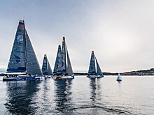 Шонка выиграл этап чемпионата мира по авиагонкам Red Bull Air Race в Порту