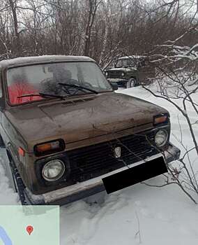 В Бузулукском бору любители экстремальных «покатушек» нарушают покой природы