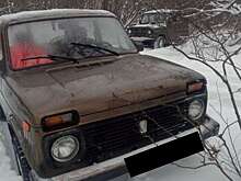 В Бузулукском бору любители экстремальных «покатушек» нарушают покой природы