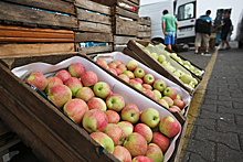 Россия запретила ввоз молдавских овощей через Белоруссию