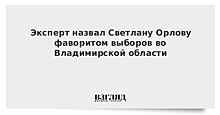 ФОМ не исключает второй тур на выборах во Владимирской области, Хакасии и Хабаровском крае