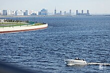 У профсоюзов хотят выкупить яхт-клуб на Петровской косе в центре Петербурга