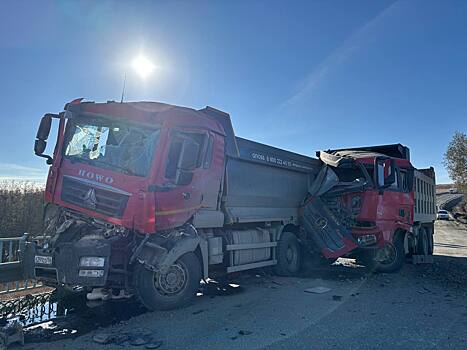 В Кувандыкском округе большегруз протаранил сломавшуюся фуру, один человек погиб
