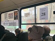 Экс-руководитель НПАТа Степанов возглавил союз перевозчиков