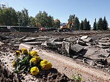 Массовой вырубки деревьев у Центральной площади Ижевска не будет