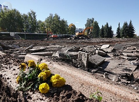 Массовой вырубки деревьев у Центральной площади Ижевска не будет