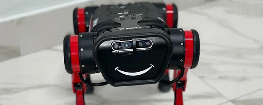 Захватчиков недвижимости в Москве начнет выслеживать робот-собака