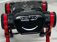 Захватчиков недвижимости в Москве начнет выслеживать робот-собака