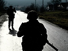 Российские войска освободили Вольное Поле в ДНР