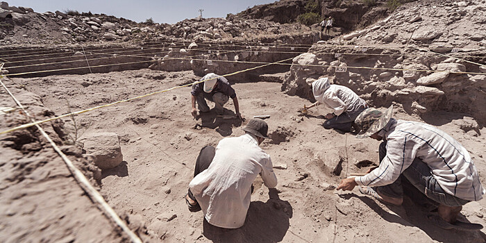 В Аргентине обнаружили останки «карликового» титанозавра