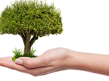 По следам Греты Тунберг: кто еще вместе с 16-летней бьет в набат