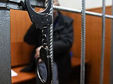 Экс-полицейского осудили за смертельное ДТП с ребенком