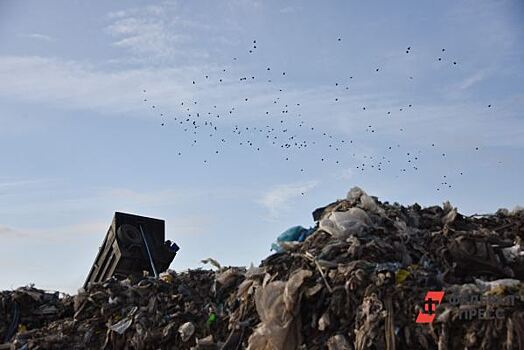 В Екатеринбурге нашли несанкционированную свалку строительных отходов