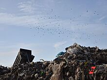 В Екатеринбурге нашли несанкционированную свалку строительных отходов