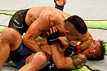 UFC FIGHT NIGHT 140 18 ноября и Bellator 209 – 15 ноября: результаты, бои