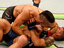 UFC FIGHT NIGHT 140 18 ноября и Bellator 209 – 15 ноября: результаты, бои