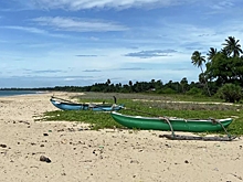 В РСТ рассказали о ситуации с российскими туристами на Шри-Ланке