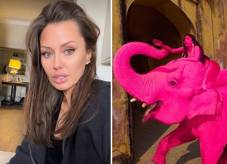 «Ты с ума сошла?»: Боня обвинила фотографа из России в смерти слона