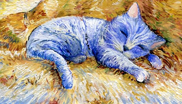 Коты «в исполнении» Пикассо, Ван Гога и Шагала: 12 картин, от которых ваше чувство прекрасного замурлыкает