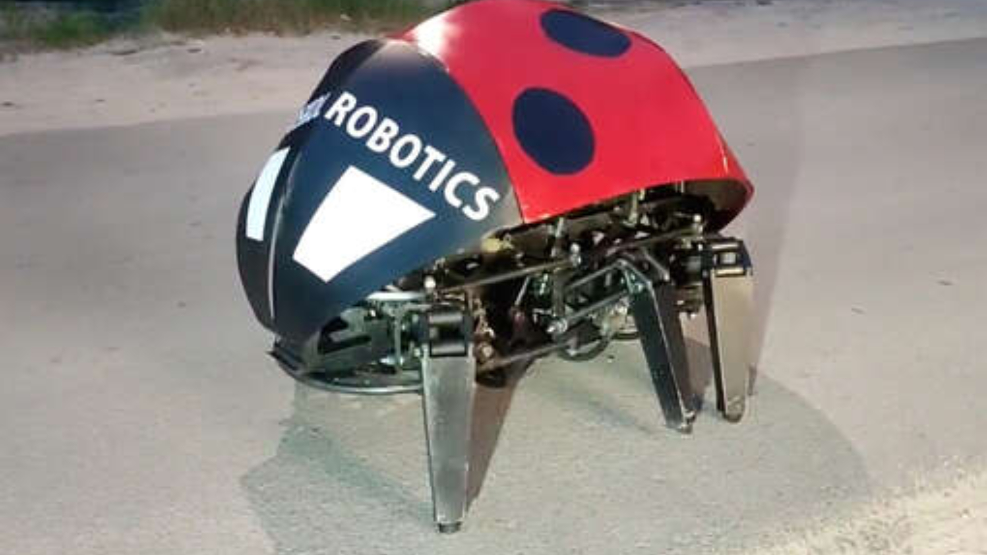 Ростовские инженеры разработали робота Жук для Битвы роботов