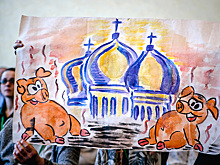 Во Владимирской области возобновляют свиноводство