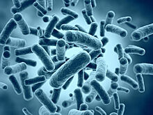 Ученые составили «геномные портреты» бактерий у людей в реанимации