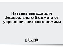 Названа выгода для федерального бюджета от упрощения визового режима