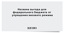 Названа выгода для федерального бюджета от упрощения визового режима