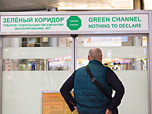 Пограничники проверяют переписки летящих домой россиян