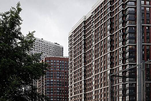 Милонов назвал покупателей премиального жилья в Москве идиотами