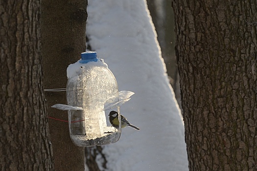 В Пензе объявили борьбу с пластиковыми кормушками