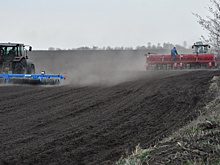 Своих семян хватит: аграрии Самарской области рассказали об удачных стечениях обстоятельств в 2022 году