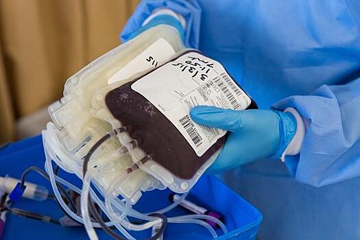 Краснодарцев просят сдать кровь для больных COVID-19