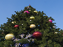 Жители региона активно участвуют в благотворительной акции "Елка желаний"