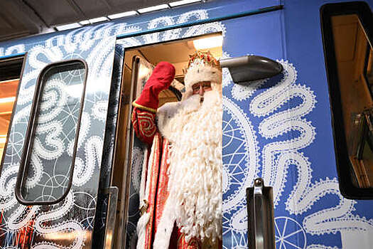 В Москве 1,3 млн пассажиров ездили на общественном транспорте в новогоднюю ночь