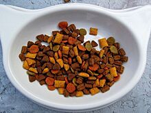 Эксперт Ильина: запрет импорта кормов может обернуться закрытием зоомагазинов