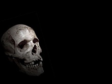 В театре Михалкова нашли человеческий череп