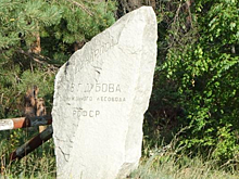 В Базарно-Карабулакском районе благоустроят дендрарий Дубова