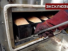 Военные развернули полевой лагерь в районе формирования группировки войск РФ и Белоруссии