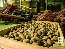 В Минэкономики Татарстана объяснили рост цен на "борщевой набор"