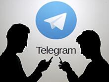 "Свято место пусто не бывает": ГД о возможном запрете Telegram