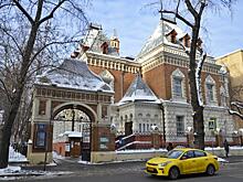 Мастер-класс по созданию сезонной икебаны проведут в биологическом музее